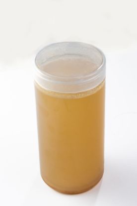 Picture of Vegetable Stock